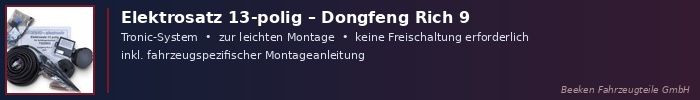 Dongfeng Elektrosatz